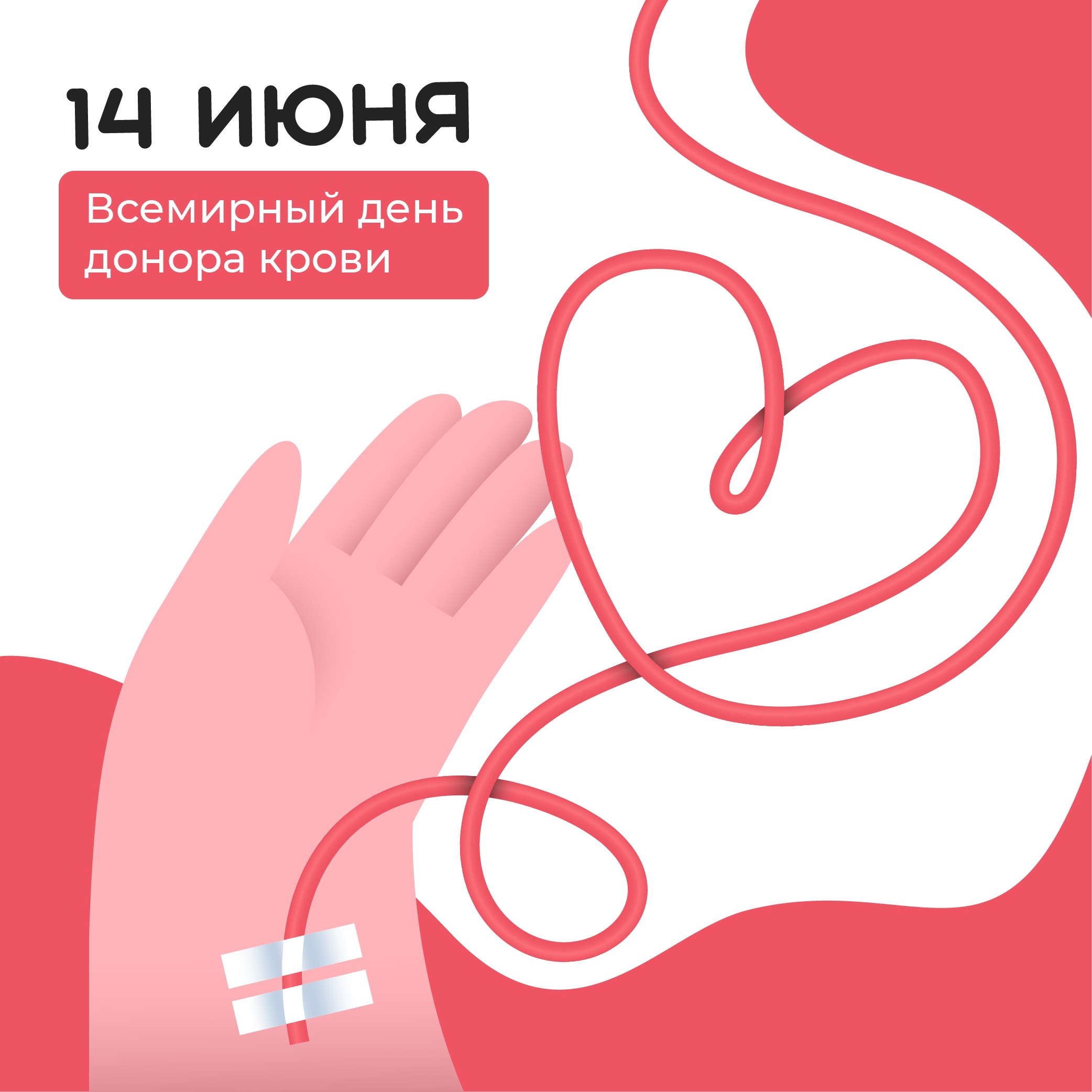 14 июня отмечается Всемирный день донора | Новости Несвижа | Нясвіжскія  навіны 14.06.2023