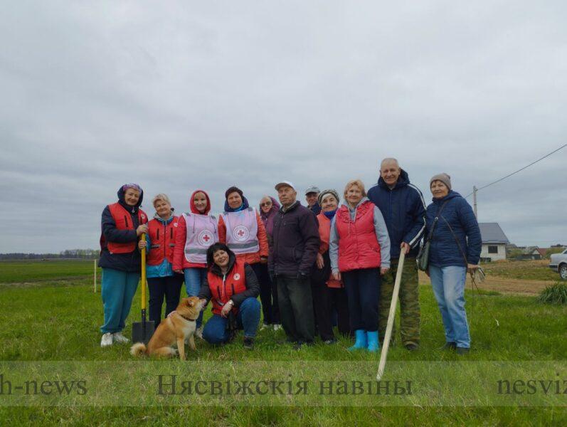 Ивы украсят одну из новых улиц Несвижа